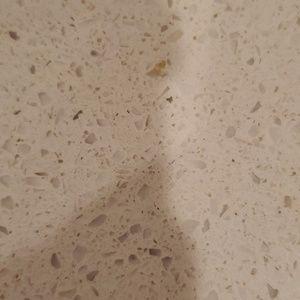 Meet your Posher, Richard